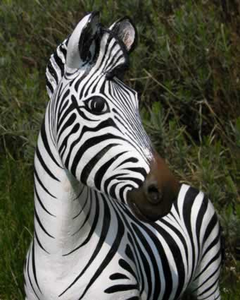 Zebra Head